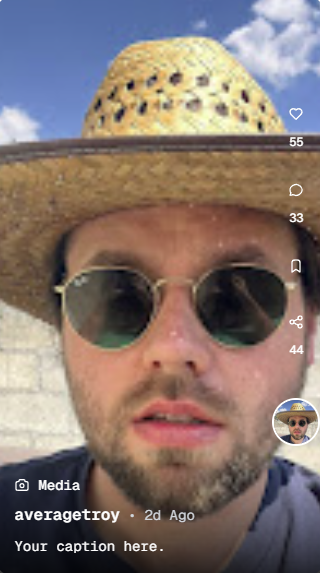 Post preview interface